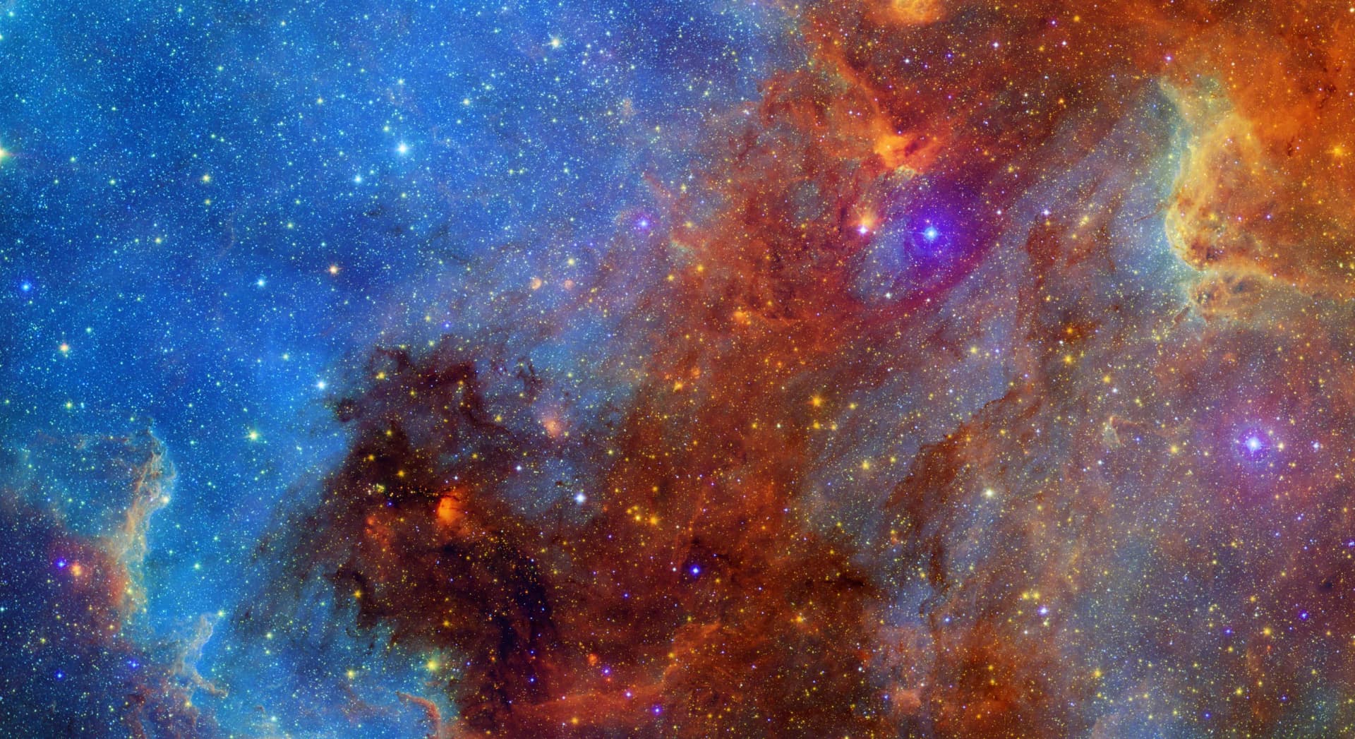 NGC 7000 : observer la nébuleuse North America du Cygne